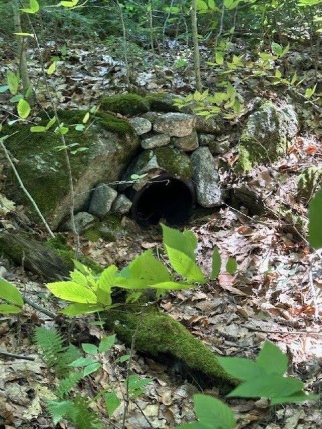 Map 6 Lot 67 Bog Rd, Hillsborough, NH 03244 - photo 3