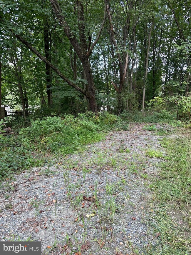 0 Cokesbury Rd, 7, Port Deposit, MD 21904 - photo 5