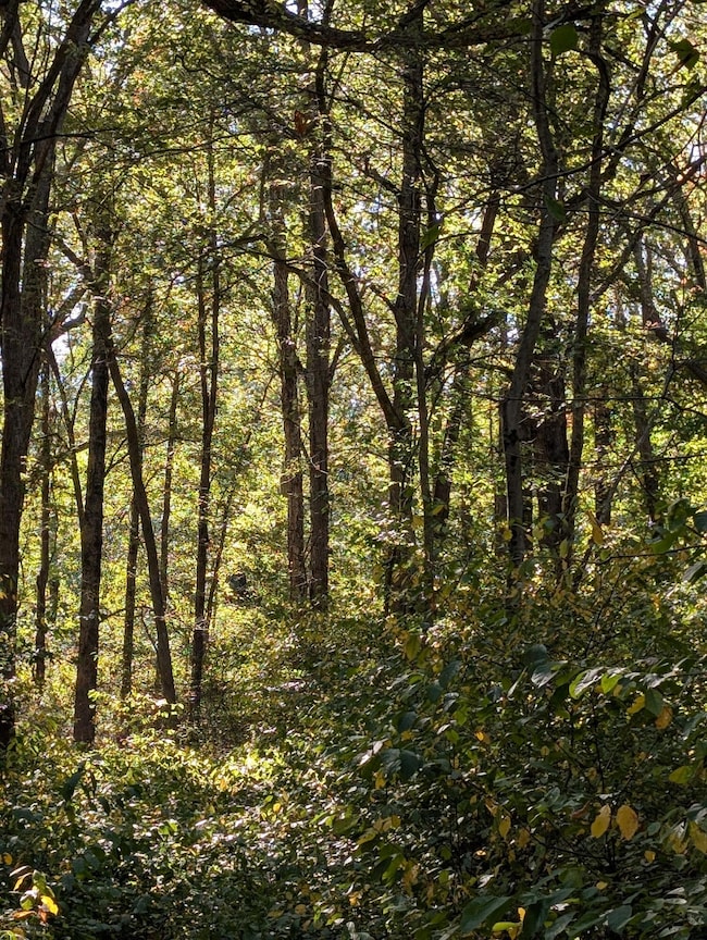 , 244th St, West Creek Township, IN 46376 - photo 2