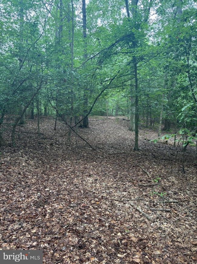 16661 Bald Eagle School Rd, Brandywine, MD 20613 - photo 4