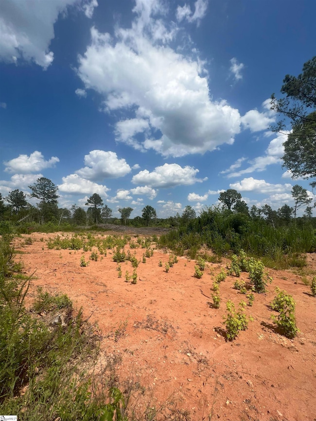 00 Casey Rd, Woodruff, SC 29388 - photo 3