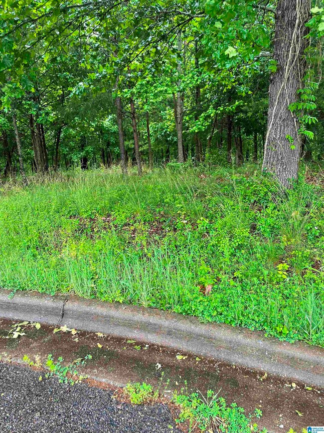 0 Eagle Pass Way unit 33 1353486, Anniston, AL 36207 - photo 4