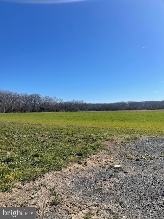 2550 Harding Hwy, Newfield, NJ - photo 4