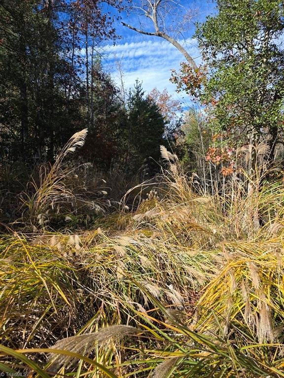 TBD Browntown Rd, Wilbar, NC 28651 - photo 4