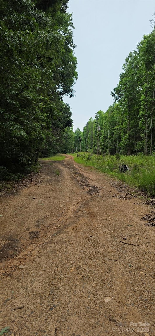 Lot 72 & 73 Meandering Ln unit 72 & 73, Lincolnton, NC 28092 - photo 2