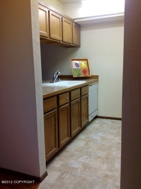Lake kitchen