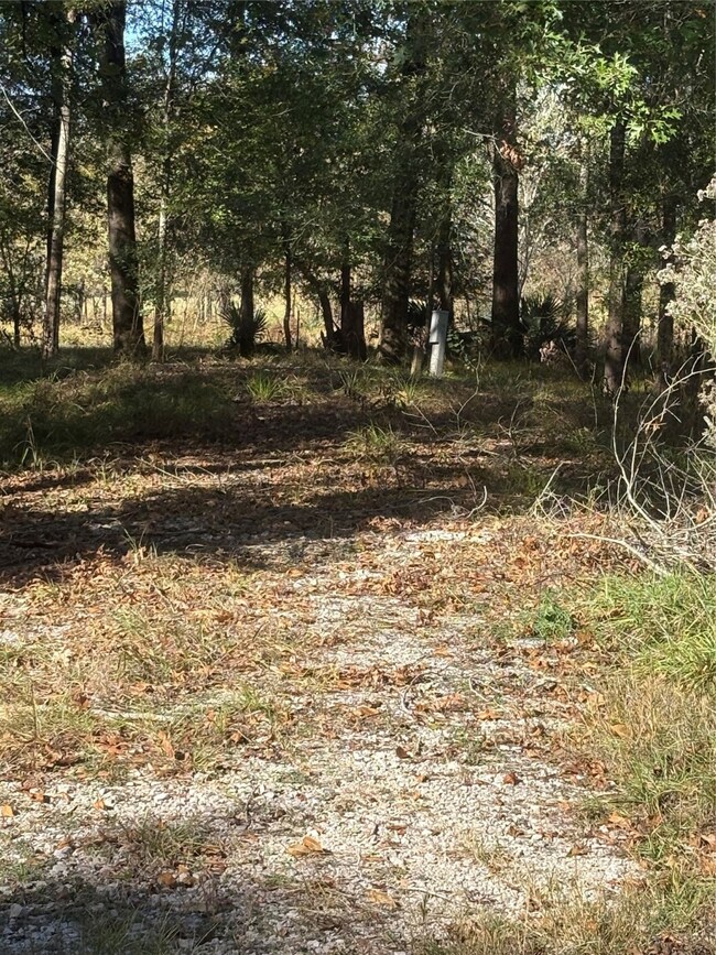 195 Center St, Cleveland, TX 77327 - photo 6