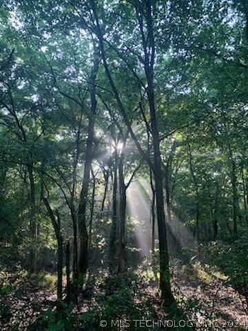 98312 S 4471 Rd, Gore, OK 74435 - photo 2