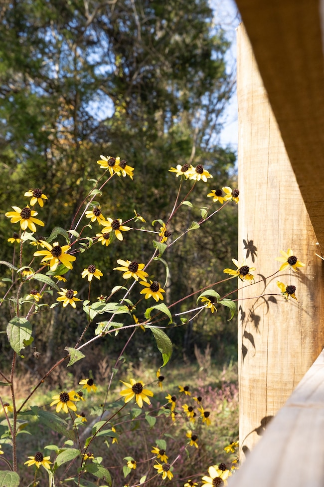 3 Tallent Rd, Pulaski, TN 38478 - photo 6