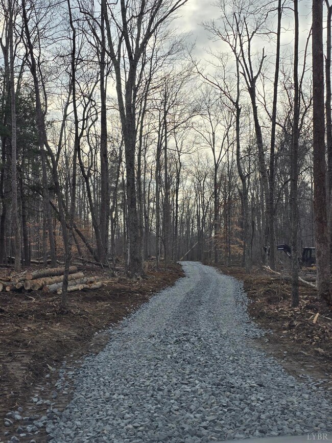 0 Meadors Mill Rd unit 361079, Bedford, VA 24523 - photo 2