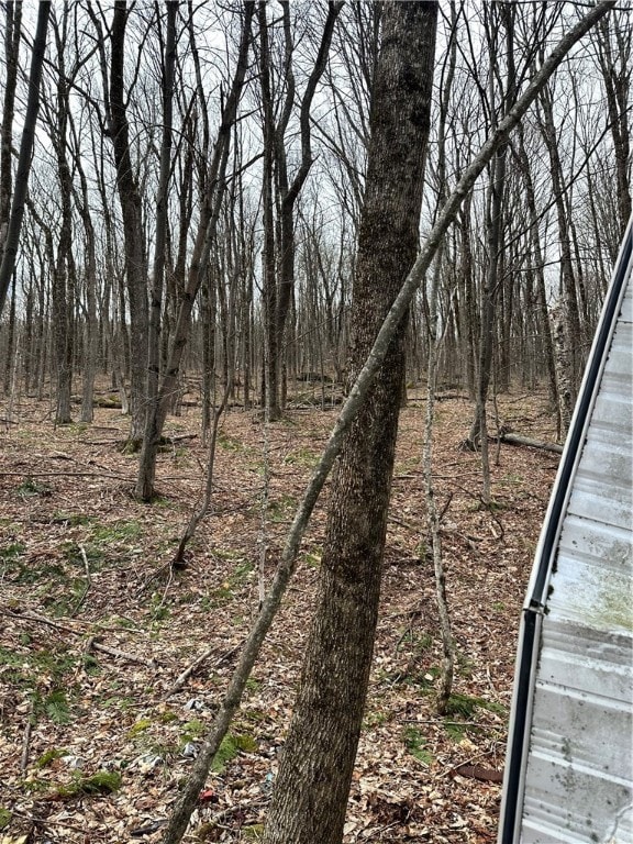 0 Kims Way, Blenheim, NY 12131 - photo 4