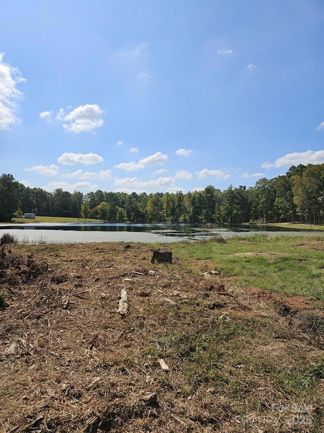 210 Fancy Lady Ct, York, SC 29745 - photo 3