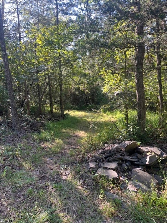 81 Upper Creek Rd, Stockton, NJ 08559 - photo 2