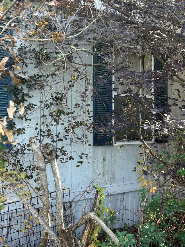 16303 Towering Oaks Trail, Magnolia, TX 77355 - photo 5