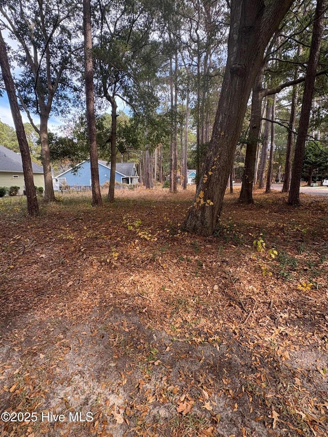 554 Captains Ct SE, Bolivia, NC 28422 - photo 5