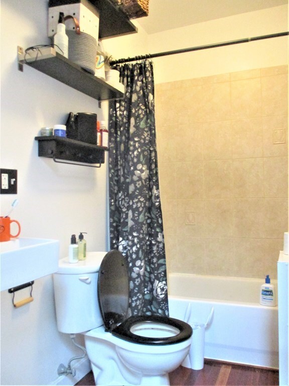 282 Windsor St unit 3, Cambridge, MA 02139 - photo 7