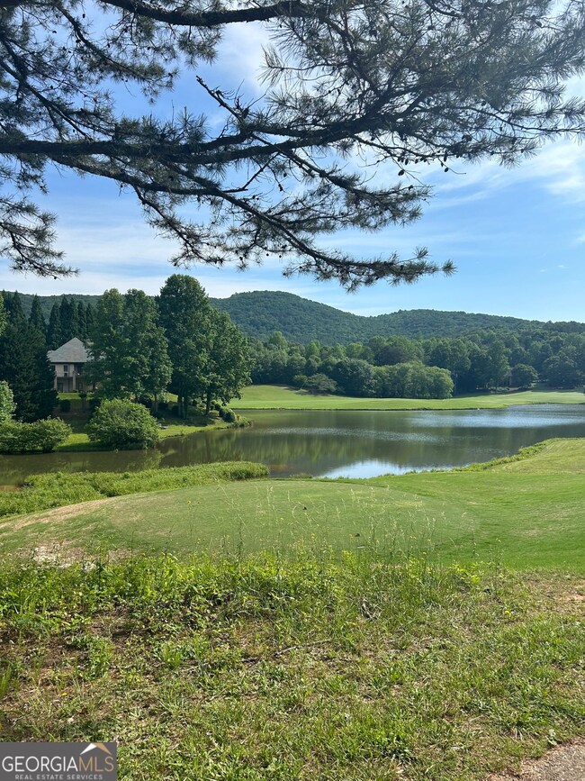 0 Orchard Dr unit 10306040, Clarkesville, GA 30523 - photo 6