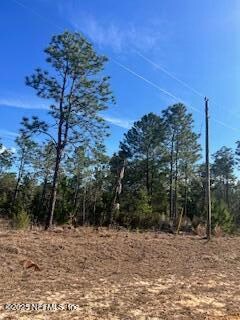 244 Cessna Way, Hawthorne, FL 32640 - photo 2