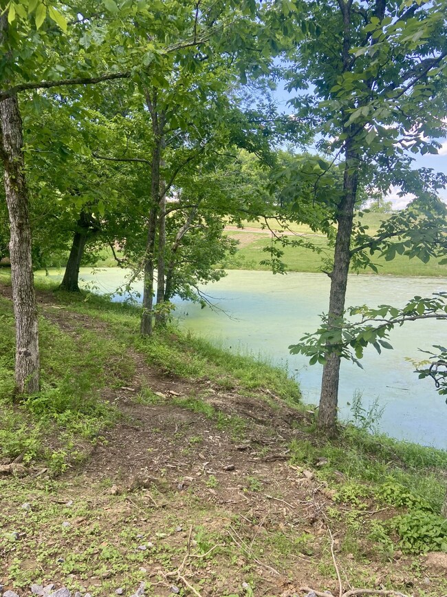 0 Mclaughlin Ln unit RTC2656474, Shelbyville, TN 37160 - photo 5