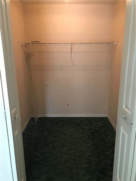 Walk-in Closet in Master Bedroom