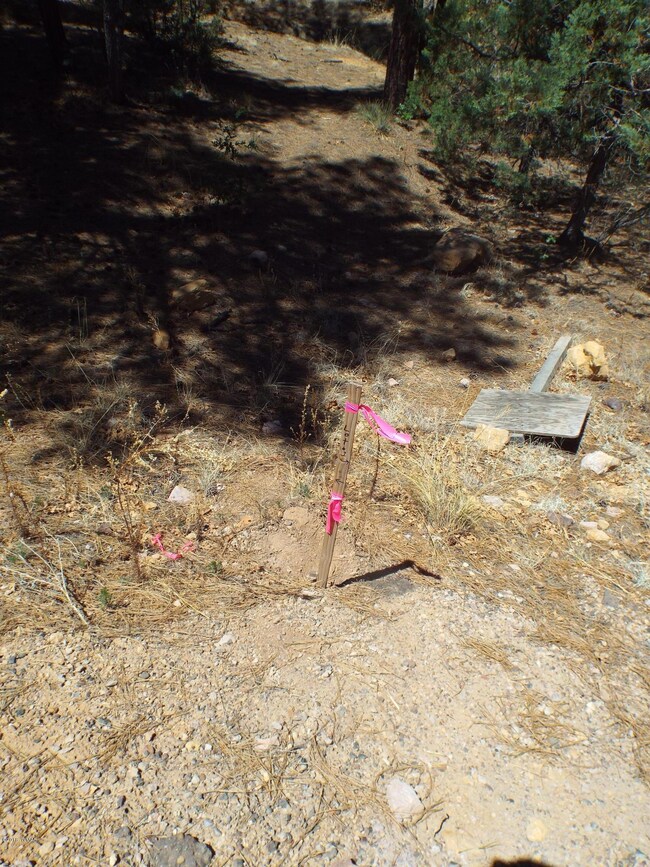 Front South pin