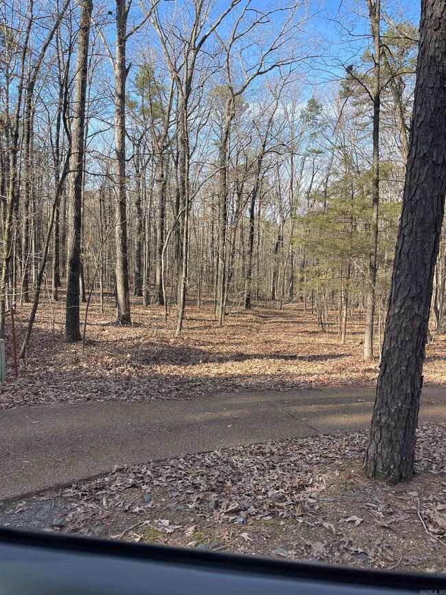 Lot 325 Deer Run, Drasco, AR 72530 - photo 5