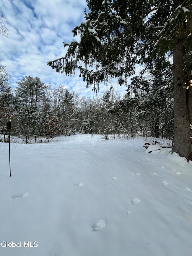 L 27.11 King Rd, Gansevoort, NY 12831 - photo 4