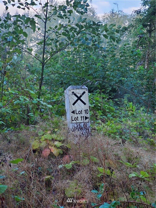 14608 228th Ave E, Orting, WA 98360 - photo 5