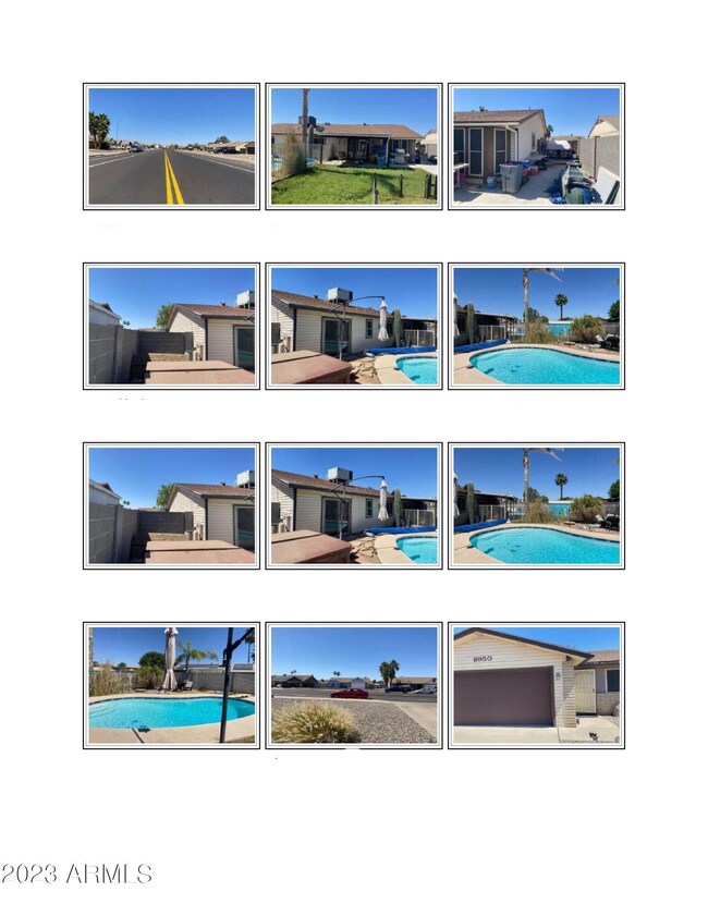 Backyard Pool
