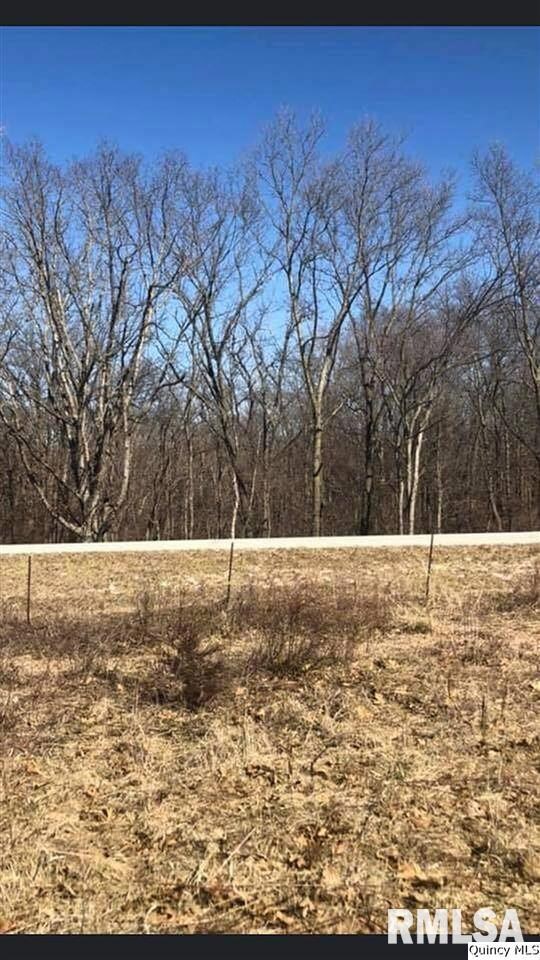 0 Pt Nw (Part of Lot 1) Sec 6 unit CA199119_1, Mt. Sterling, IL 62353 - photo 3
