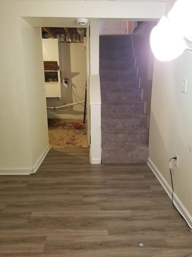 Basement (5)