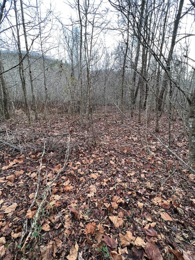 Lots 9 10 11 15 & 17 Mary Ln, Hayesville, NC 28904 - photo 5