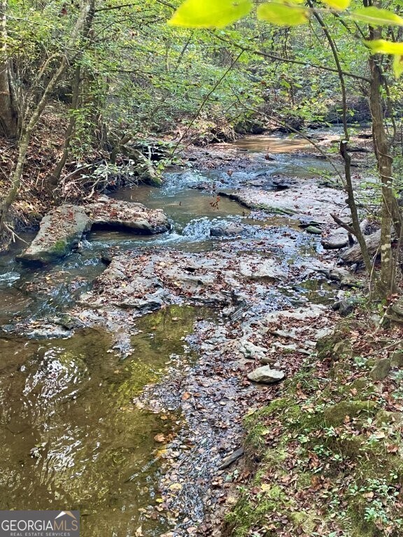 0 E Highway 36 unit 10652570, Jackson, GA 30233 - photo 4