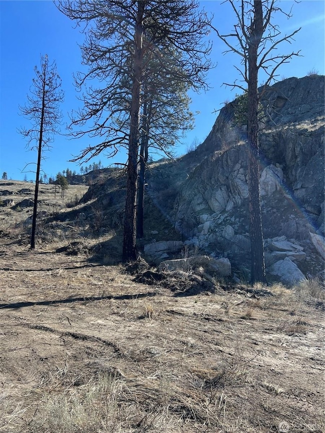 NNA Soap Lake Rd, Malott, WA 98829 - photo 6