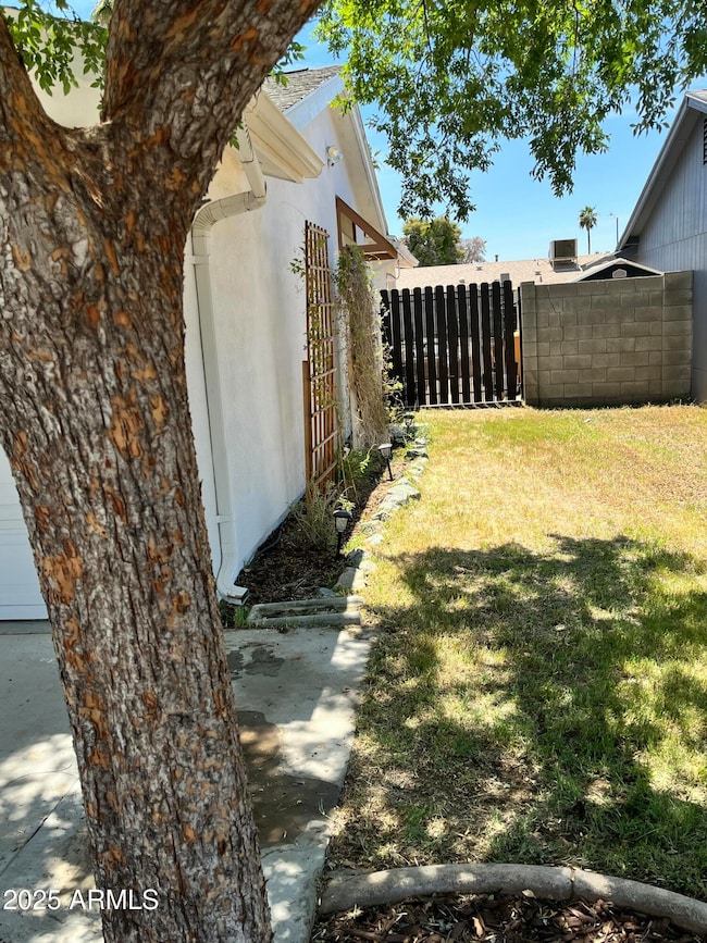 Front Side Yard