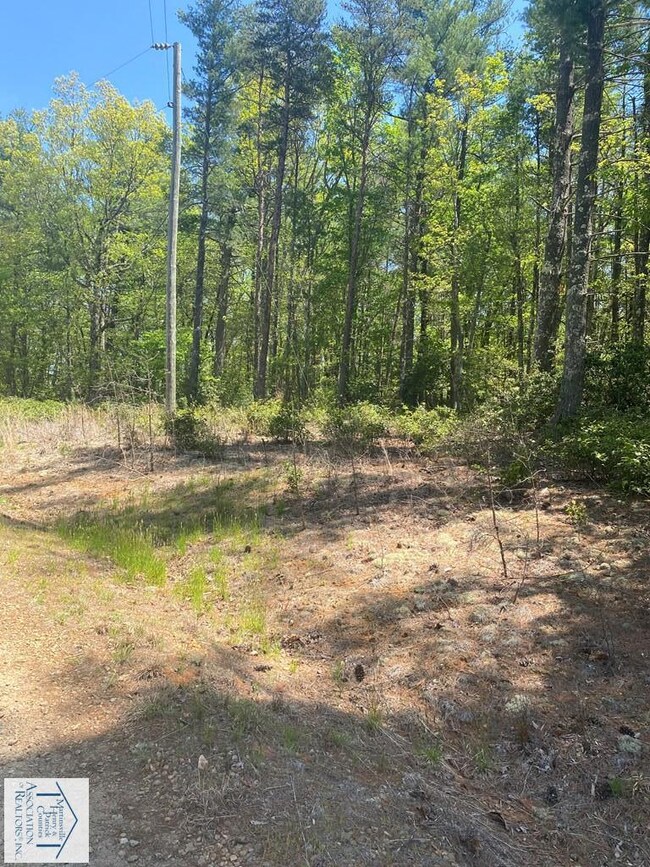 Lot 12 Timber Run Dr, Woolwine, VA 24185 - photo 5