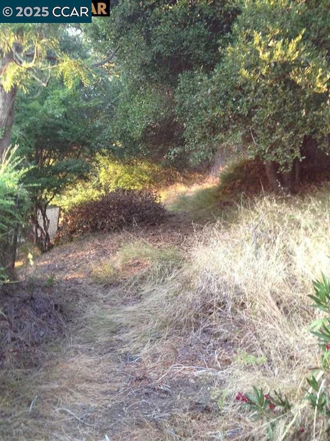 0 Alley Way unit 41119108, Oakland, CA 94611 - photo 4