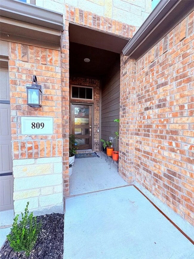 809 Elizabeth St, Anna, TX 75409 - photo 5