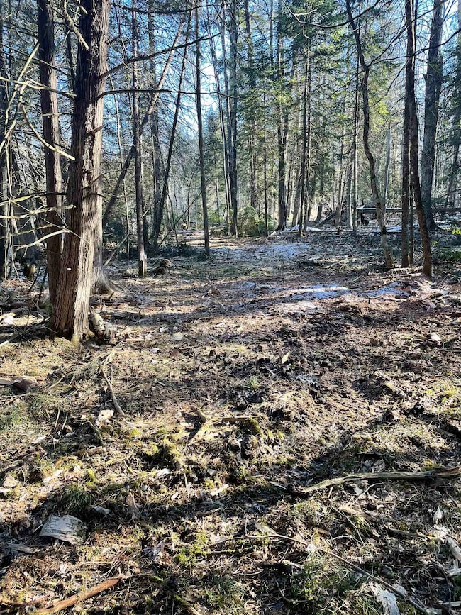 0 Hydro Rd, Stephenson, WI 54114 - photo 6