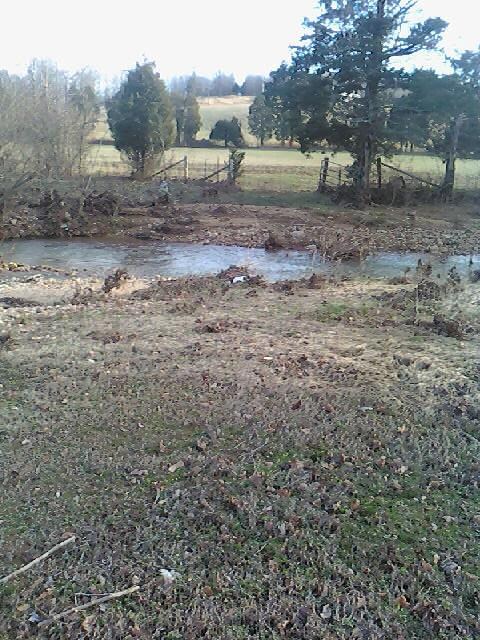 457 Upper Alsup Rd unit 463, Tennessee Ridge, TN 37178 - photo 4