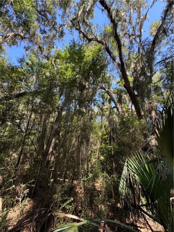 Lot 20 & 21 Riverside Dr, Darien, GA 31305 - photo 2