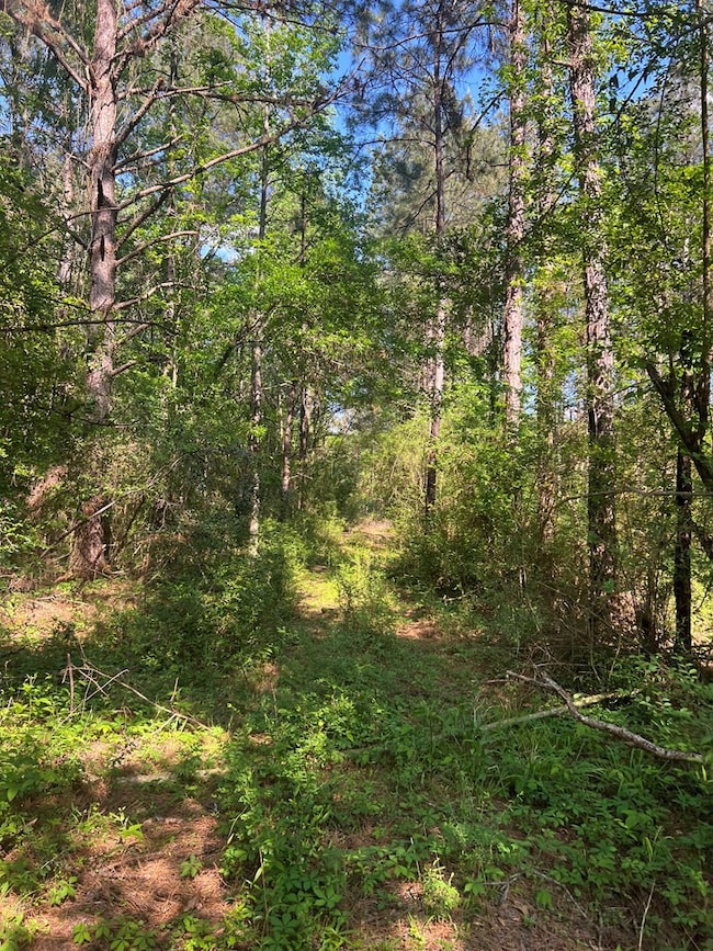 1049 Candy Ln, McComb, MS 39648 - photo 2