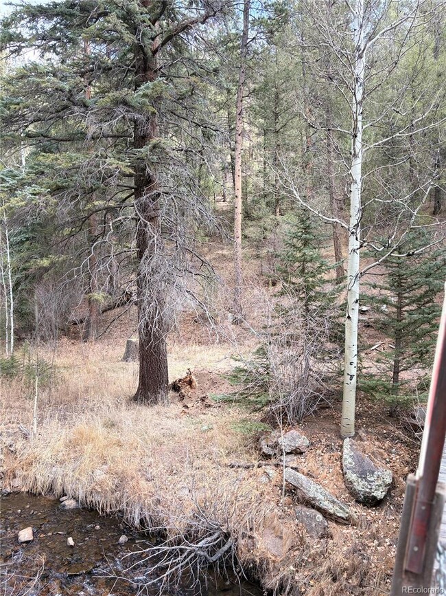 00000 S Elk Creek Rd, Pine, CO 80470 - photo 3