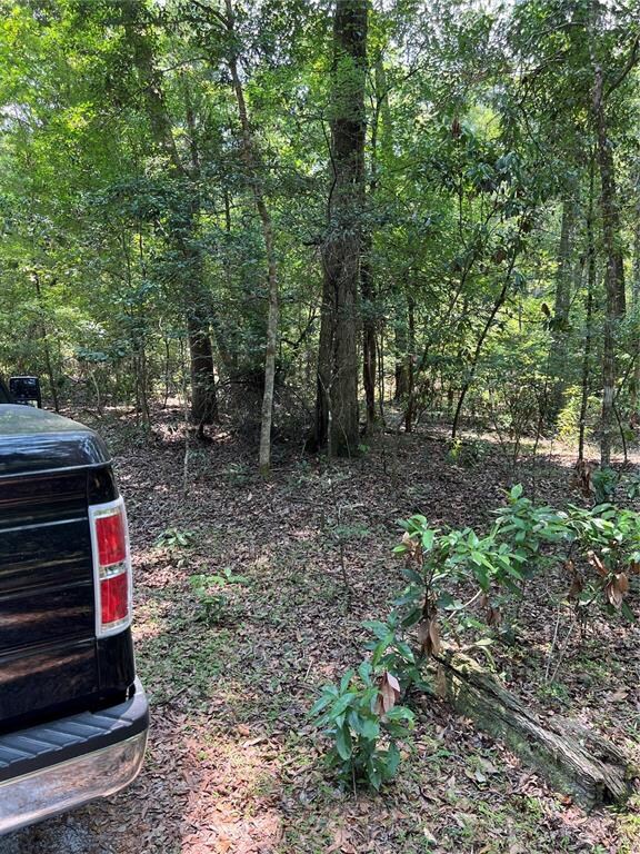 XX NE 125th Ln, Branford, FL 32008 - photo 3