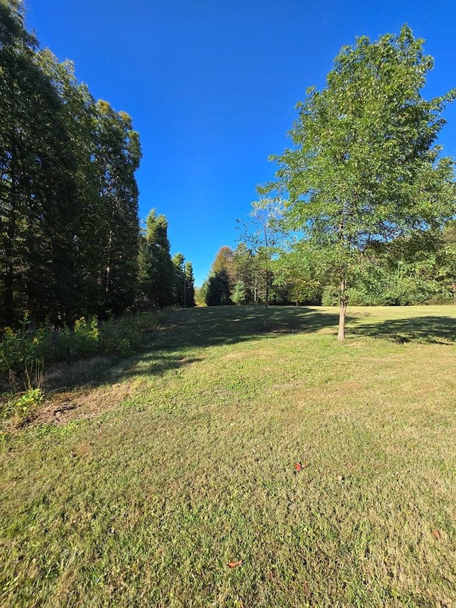 0A Ellison Ridge Rd, Jumping Branch, WV 25969 - photo 3