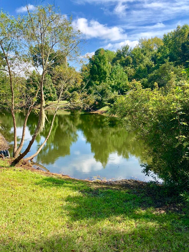 Backyard views!