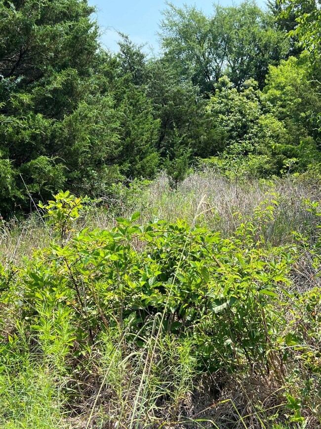Wooded building site for sale!