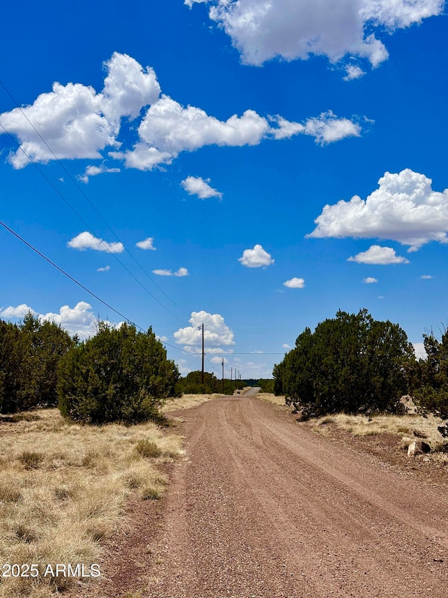 52 Acr 8010 --, Concho, AZ 85924 - photo 6
