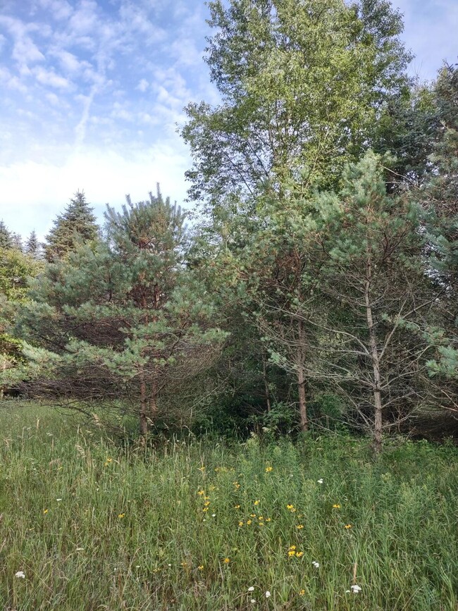 image000000 (7)