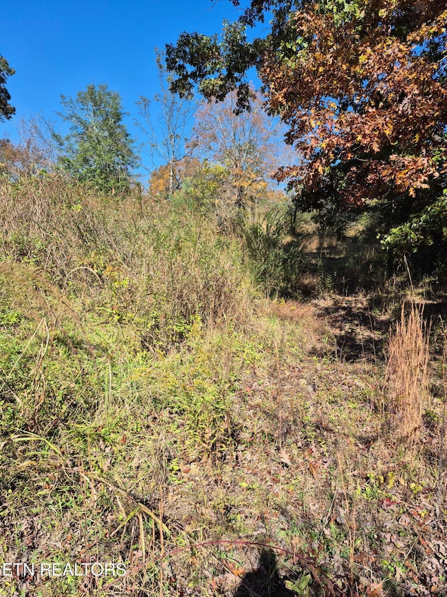 129 County Road 299, Sweetwater, TN 37874 - photo 4